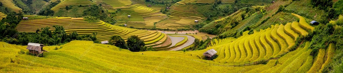 vietnam-banner