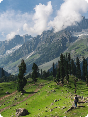 Kashmir