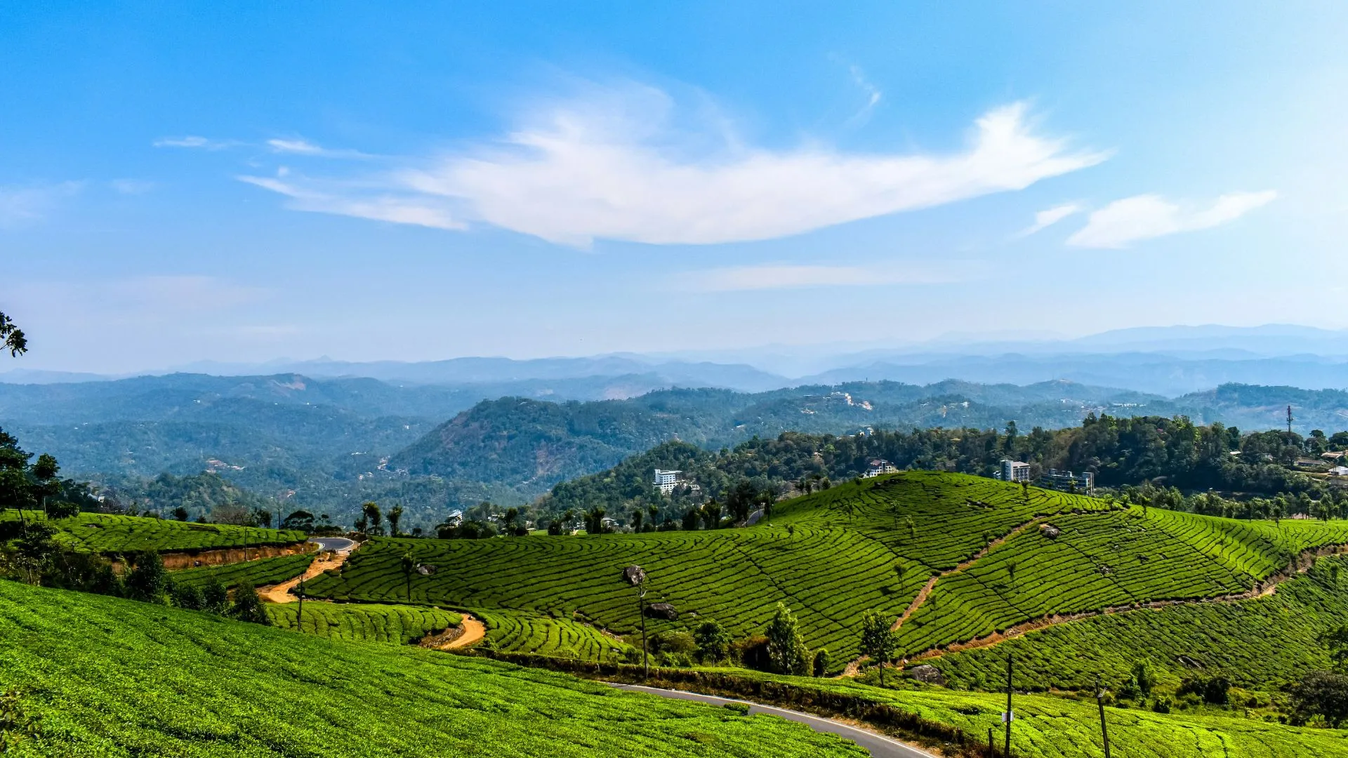 Lush green tea plantations in Munnar with rolling hills, winding roads, and scenic mountain views under a blue sky