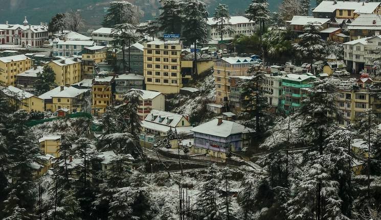 Snow-covered hillside town with colorful buildings and pine trees in Shimla during winter